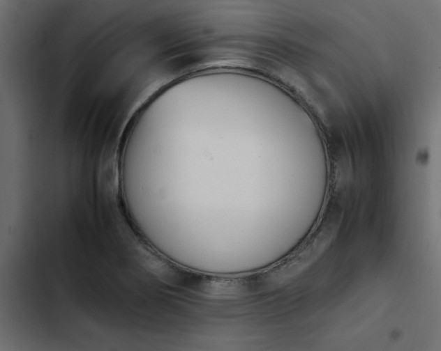 X0000103941274200809261718