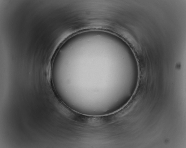 X0000103941275200809261718
