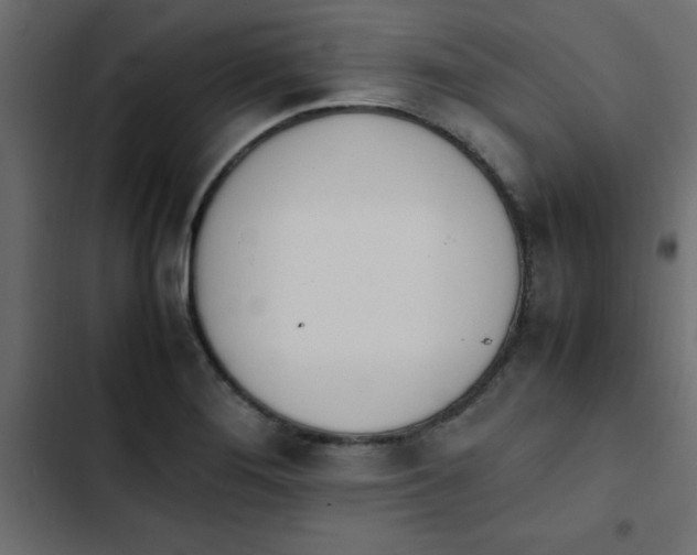 X0000103941276200809261718