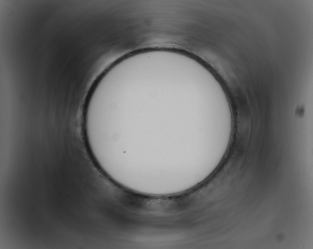 X0000103941277200809261718