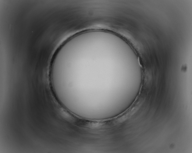 X0000103941278200809261717