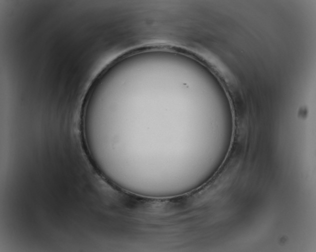 X0000103941279200809261717