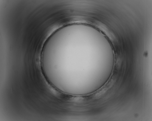X0000103941282200809261717