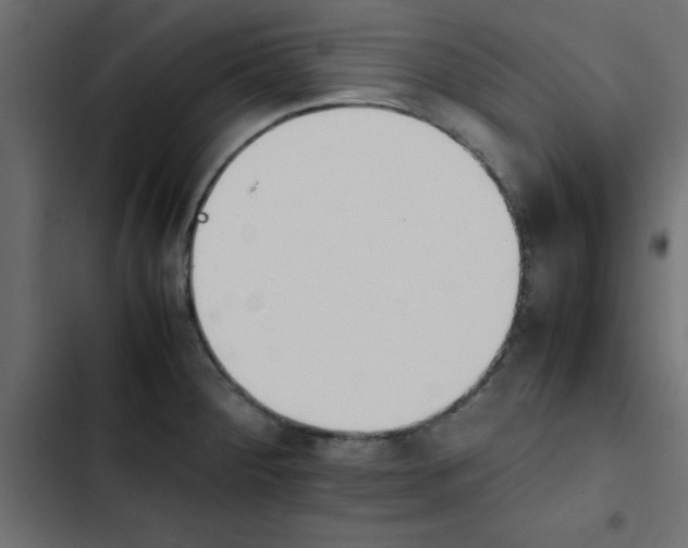 X0000103941284200809261717