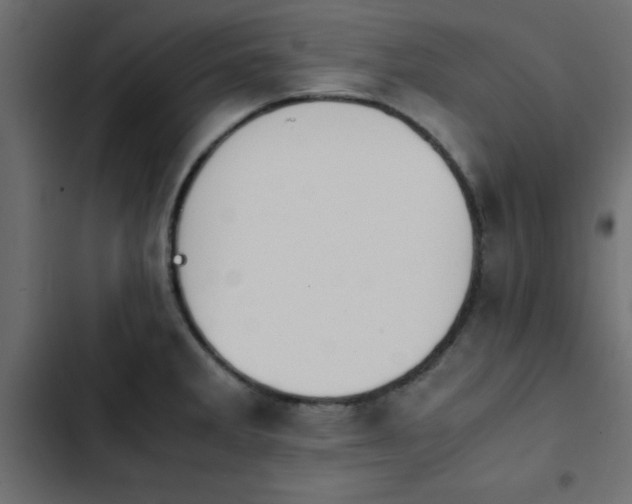 X0000103941285200809261717