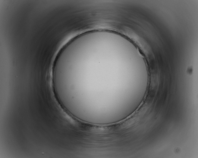 X0000103941286200809261717