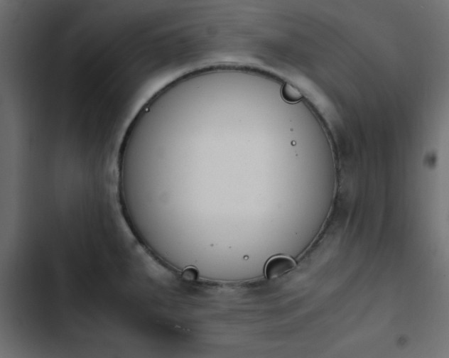 X0000103941287200809261717