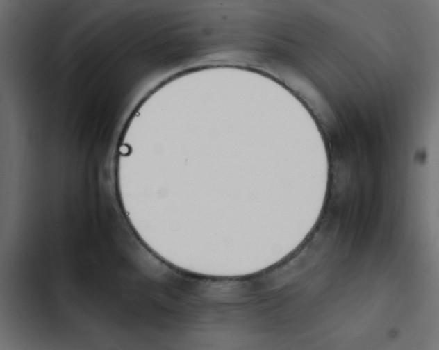 X0000103941288200809261717