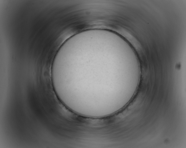 X0000103941289200809261717