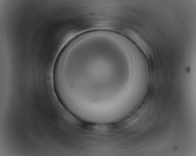 X0000103941291200809261717