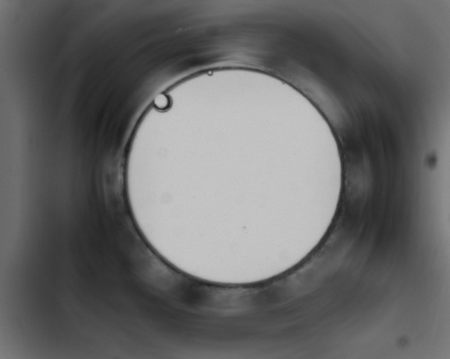X0000103941292200809261717
