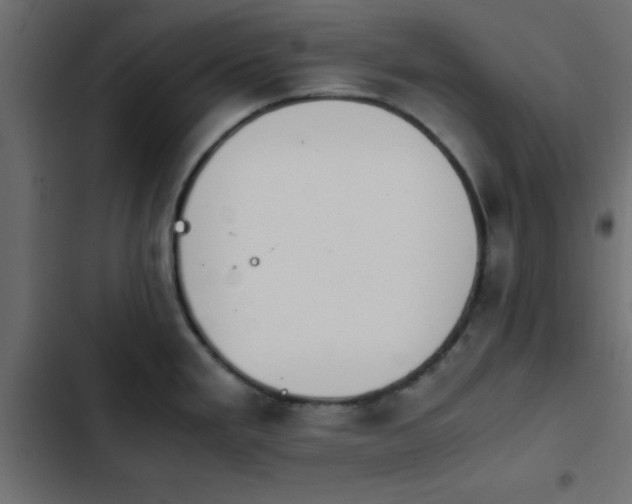 X0000103941293200809261717