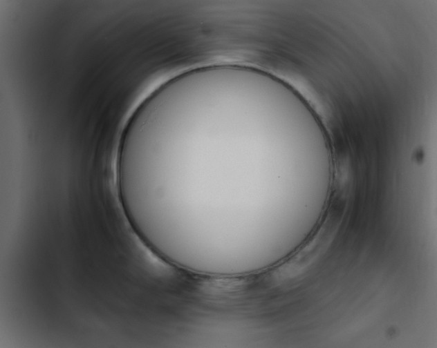 X0000103941294200809261717