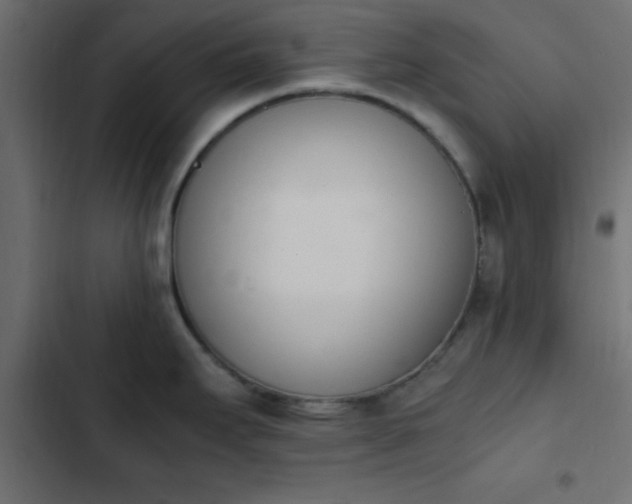 X0000103941295200809261717