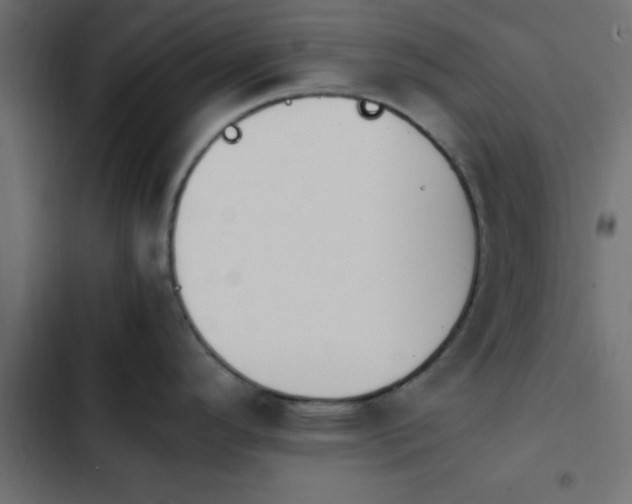 X0000103941296200809261717