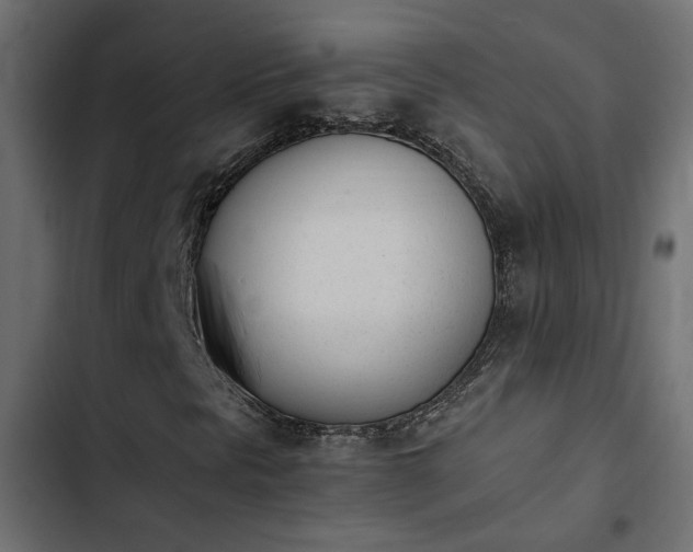X0000103941297200809261716