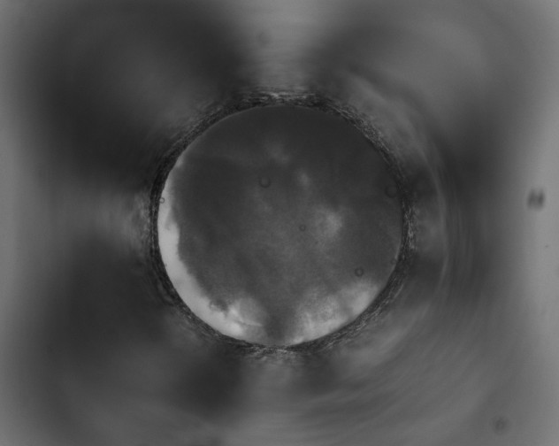 X0000103941298200809261716
