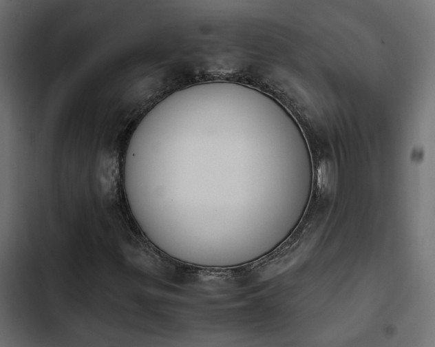 X0000103941299200809261716