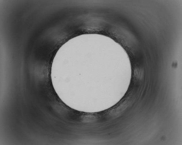 X0000103941300200809261716
