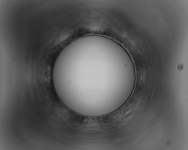 X0000103941301200809261716
