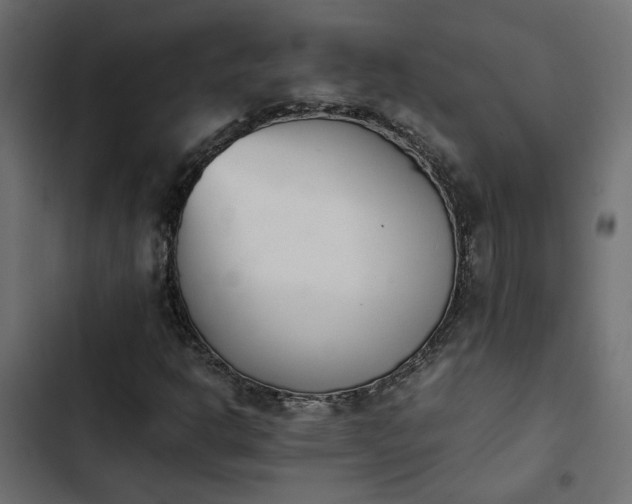 X0000103941302200809261716