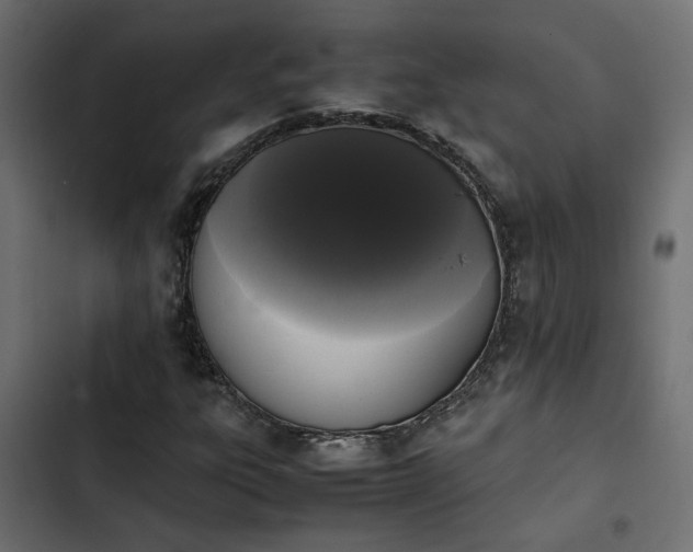 X0000103941303200809261717