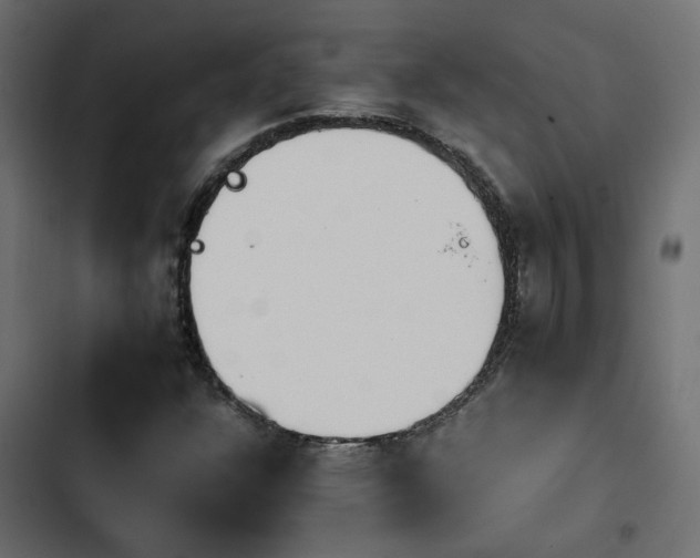 X0000103941304200809261717