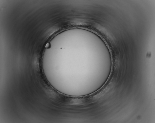 X0000103941305200809261717