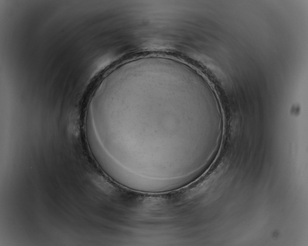 X0000103941306200809261717
