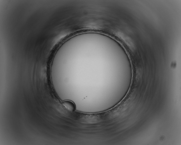 X0000103941307200809261717