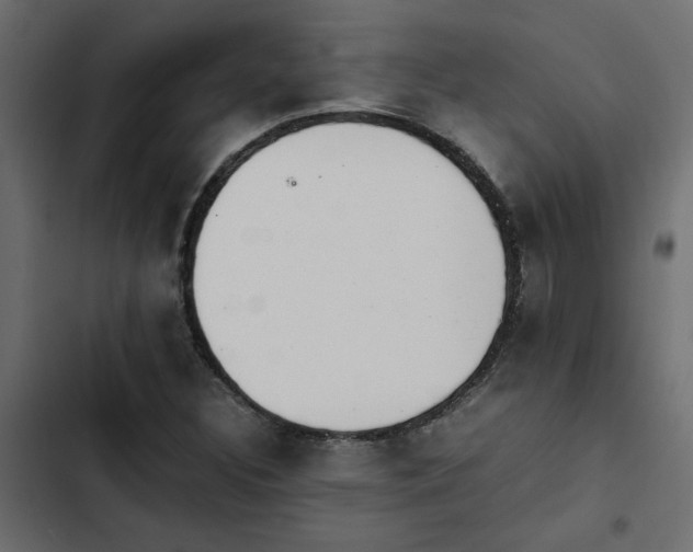 X0000103941308200809261717
