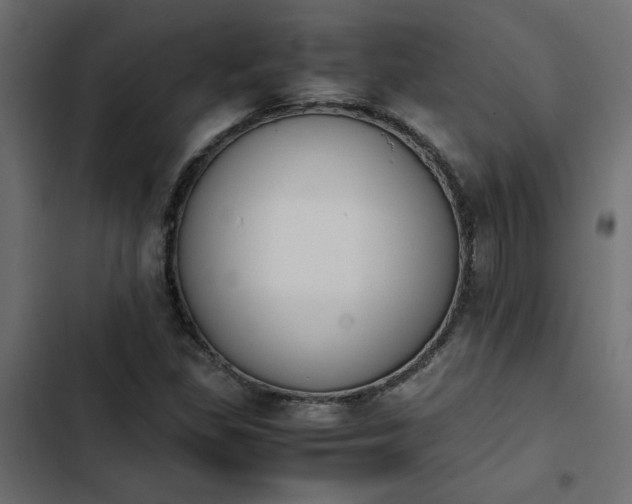 X0000103941309200809261717