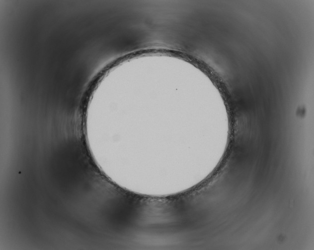 X0000103941310200809261717