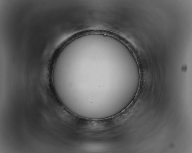 X0000103941311200809261717