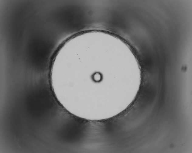 X0000103941312200809261717