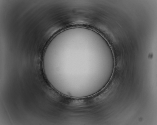 X0000103941313200809261717
