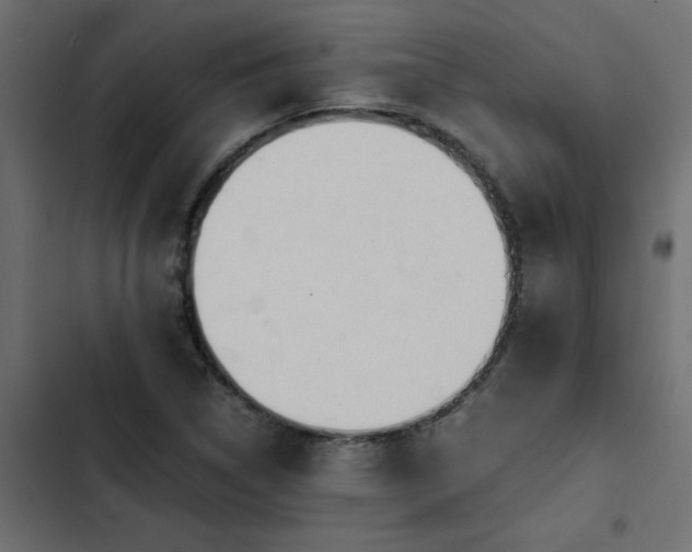 X0000103941314200809261717