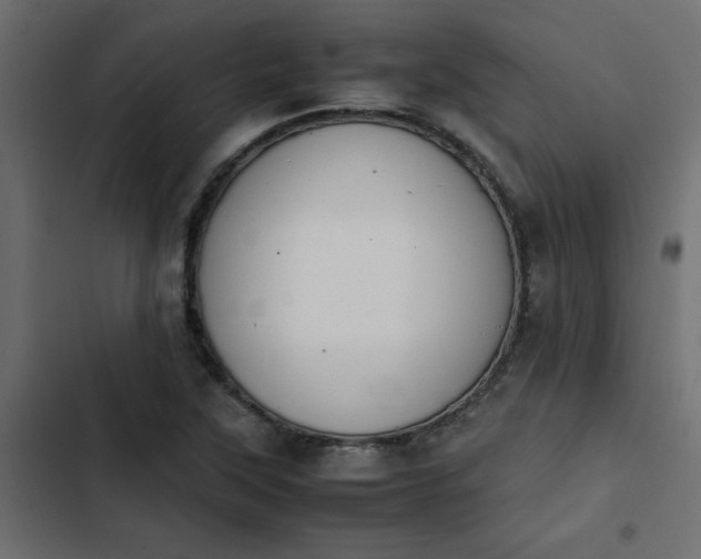 X0000103941315200809261717