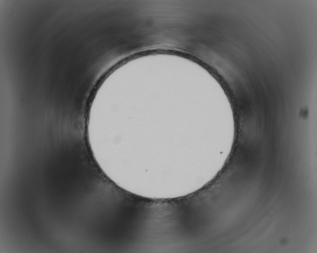 X0000103941316200809261717
