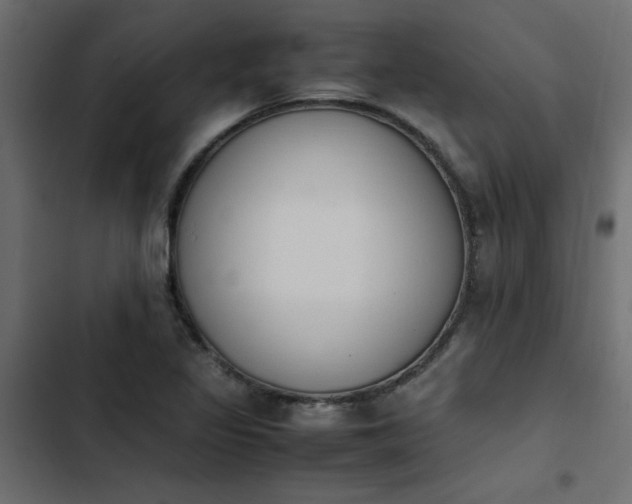 X0000103941317200809261717