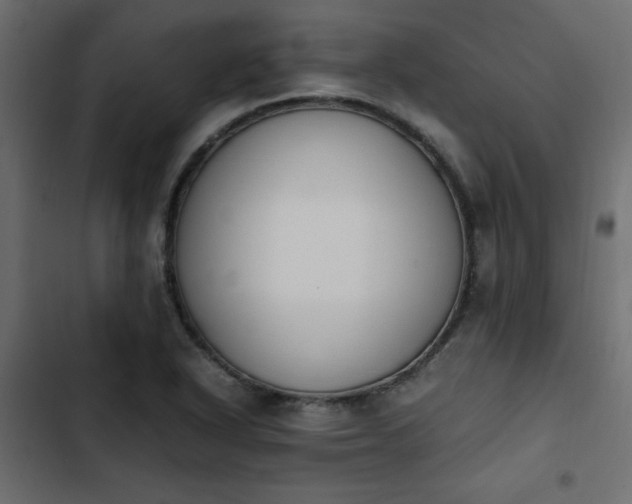 X0000103941318200809261717