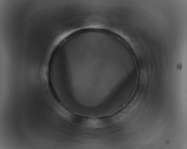 X0000103941319200809261717
