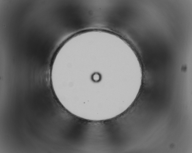 X0000103941320200809261717