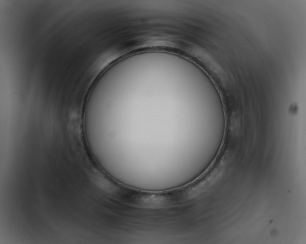 X0000103941321200809261717