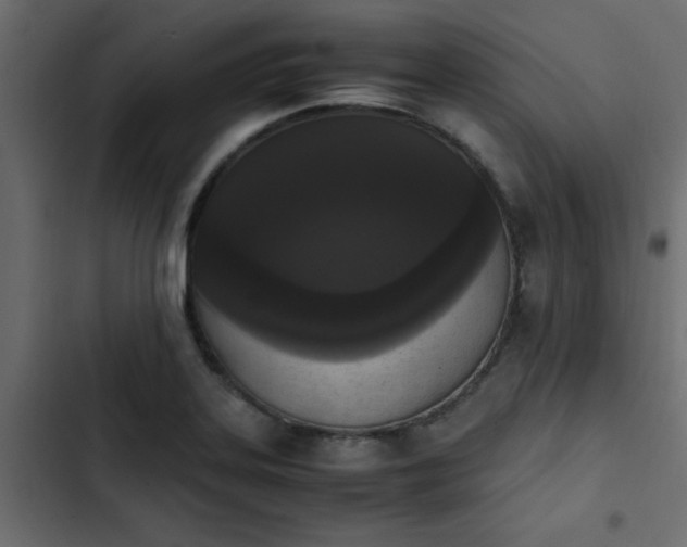X0000103941323200809261717