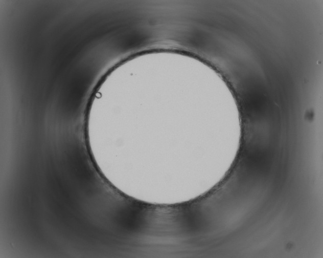 X0000103941326200809261717