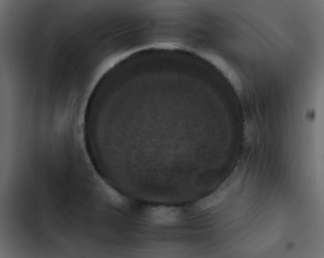 X0000103941327200809261717