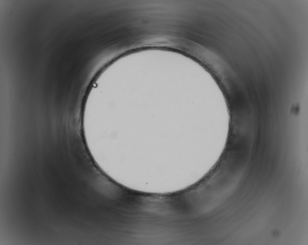 X0000103941328200809261717