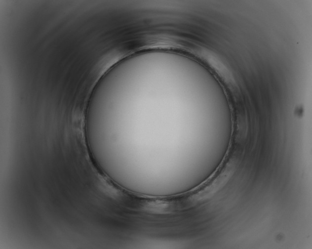 X0000103941329200809261717