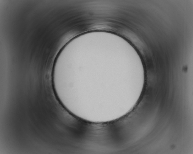X0000103941330200809261717